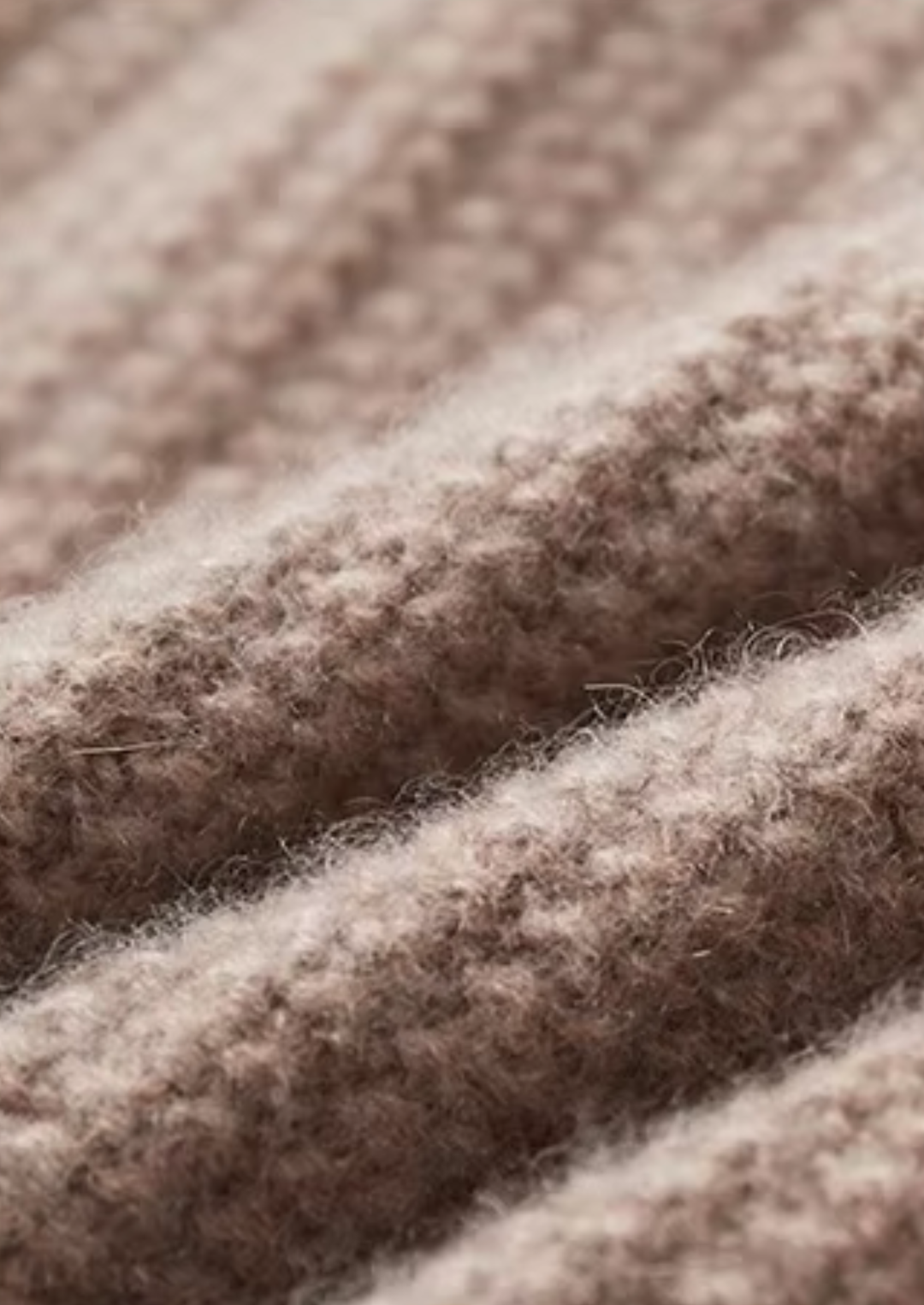 Pure Cashmere Heavyweight Crewneck beige image 6 #color_beige