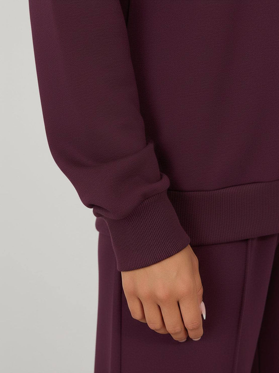 Casual Wrinkle-Free Polo Set plum image 6 